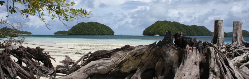 Photograph of a tropical beach and islands